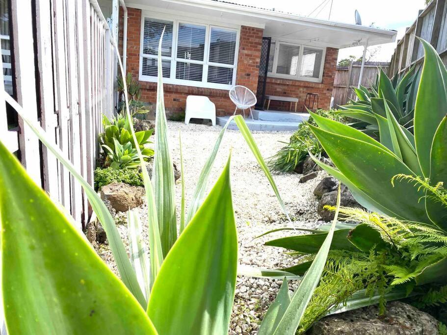 Apartment Own Sunny Quiet Haven, Own 1 Bedroom House & Garden With Car Park, To Airport, Cbd & Sylvia Park Mall Auckland